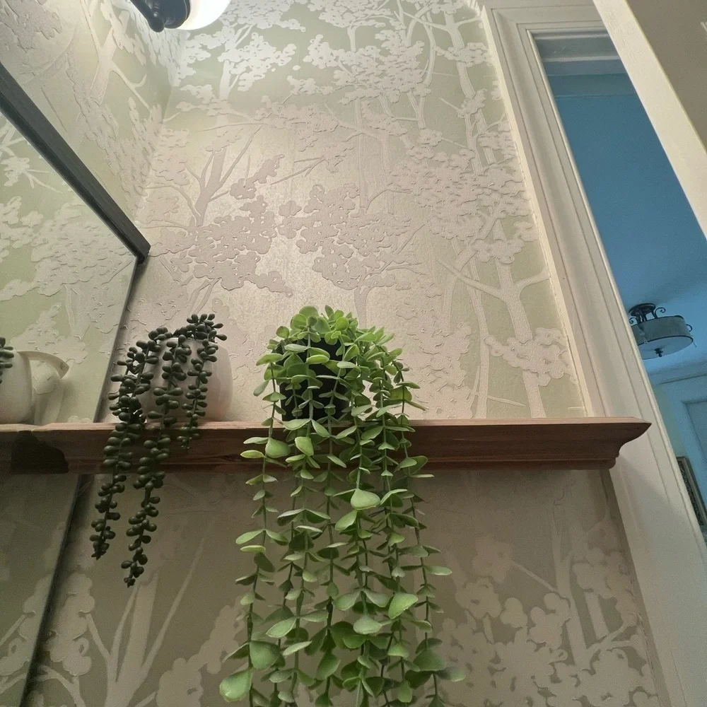 NEW Anthropologie Candice Olson York wallpaper green botanical textured CN2160